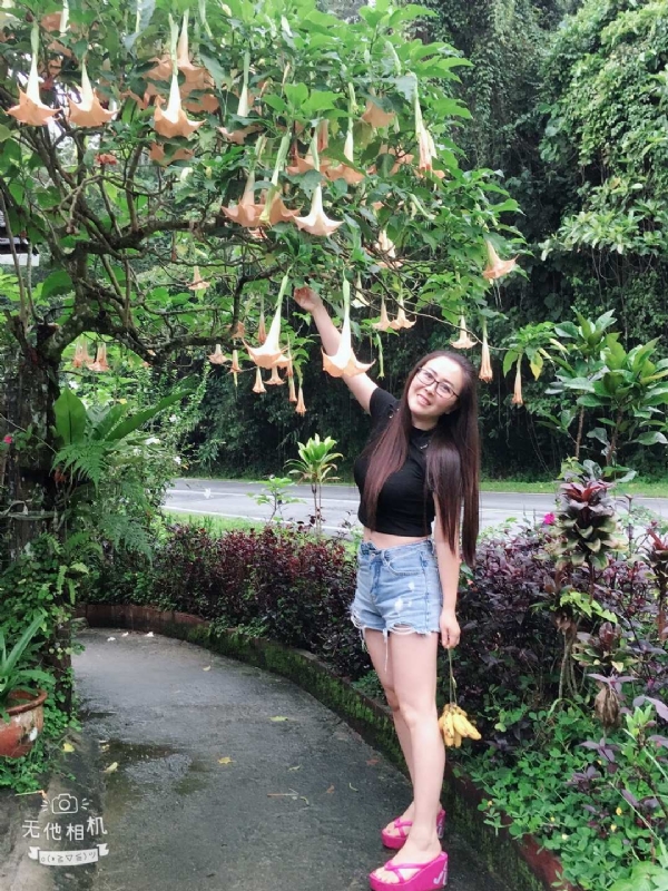 离异单身无子的第二张照片--长汀相亲网