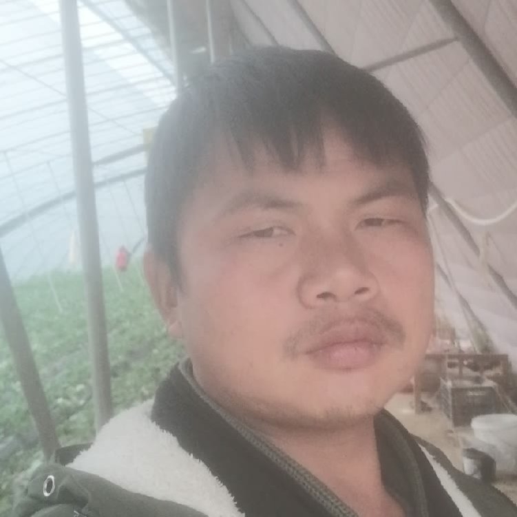 孤狼‘的第一张照片--长汀相亲网