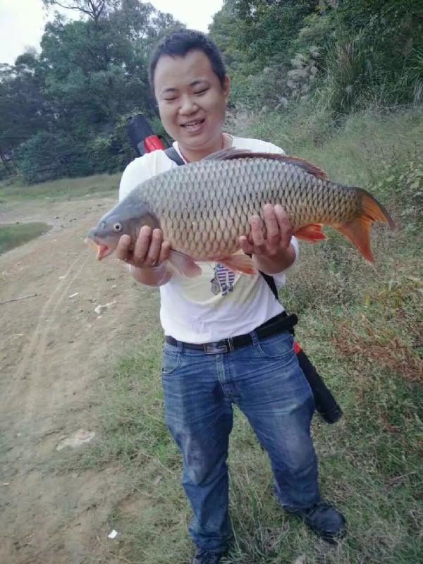 迷路的男人的第一张照片--长汀相亲网