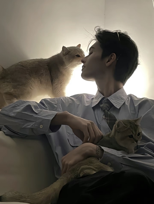 怪猫的第一张照片--长汀相亲网